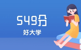 上海高考549分能上什么好大学？2026年可报1所985大学