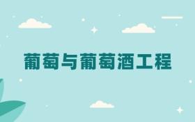 全国葡萄与葡萄酒工程专业2024录取分数线（2025考生参考）