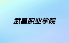 武昌职业学院学费明细：一年9800-26800元（2025年参考）