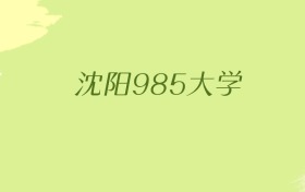 辽宁沈阳985大学2025年最低录取分数线（共1所）
