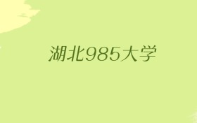 湖北985大学2025年最低录取分数线（共2所）