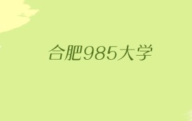 安徽合肥985大学2025年最低录取分数线（共1所）