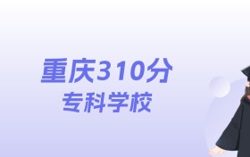 重庆310分左右的专科学校名单:2026年能上29所