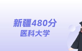 新疆480分左右的医科大学名单：2026年能上2所
