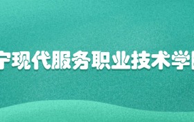 辽宁现代服务职业技术学院2026年录取分数线:含专科批