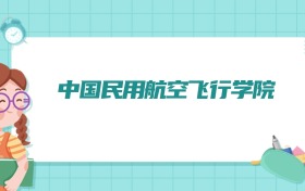 中国民用航空飞行学院无人驾驶航空器系统工程专业排名!附招生计划名额(2026参考)