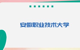 安徽职业技术大学专业代码、招生录取分数线（2026参考）
