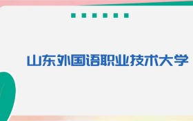 山东外国语职业技术大学专业代码、招生录取分数线(2026参考)