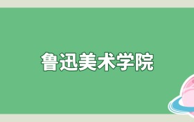 鲁迅美术学院是985还是211？算名校吗？看录取分数线