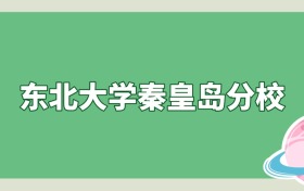 东北大学秦皇岛分校是985还是211？算名校吗？看录取分数线