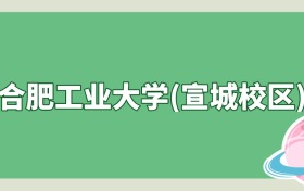 合肥工业大学(宣城校区)是985还是211？算名校吗？看录取分数线