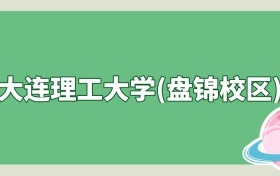 大连理工大学(盘锦校区)是985还是211？算名校吗？看录取分数线