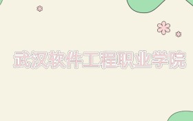 武汉软件工程职业学院近三年录取分数线及位次（2023-2025年）