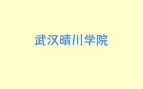 武汉晴川学院江西招生计划人数及专业代码：含本科批（2026参考）
