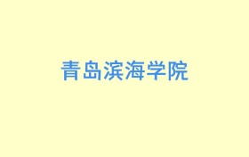 青岛滨海学院天津招生计划人数及专业代码：含本科批B段（2026参考）