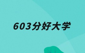 天津603分可以读什么大学？2026年高考能上211