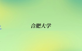 合肥大学2026录取分数线：全国18省全专业组投档数据