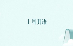 浙江土耳其语专业大学排名及录取分数线(2026年高考参考)