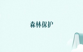 山东森林保护专业大学排名及录取分数线(2026年高考参考)