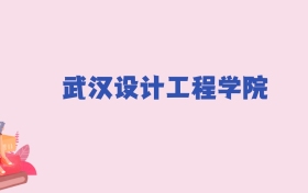 武汉设计工程学院2025年分数线：新高考需211分录取
