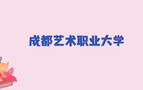 成都艺术职业大学2024年分数线：新高考需220分录取