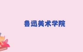 鲁迅美术学院2024年分数线：新高考需466分录取