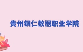 贵州铜仁数据职业学院2024年分数线：新高考需180分录取