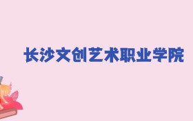 长沙文创艺术职业学院2024年分数线：新高考需249分录取