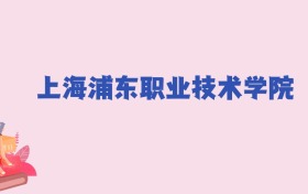 上海浦东职业技术学院2024年分数线：新高考需357分录取