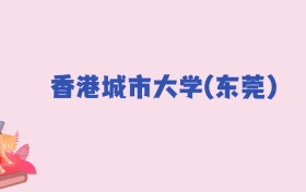 香港城市大学(东莞)2024年分数线：新高考需593分录取