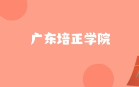 新疆高考多少分能上广东培正学院？附2022-2024年最低录取分数线