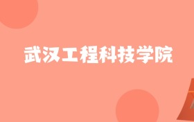 新疆高考多少分能上武汉工程科技学院？附2022-2024年最低录取分数线