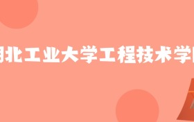 新疆高考多少分能上湖北工业大学工程技术学院？附2022-2024年最低录取分数线