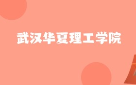 新疆高考多少分能上武汉华夏理工学院？附2022-2024年最低录取分数线