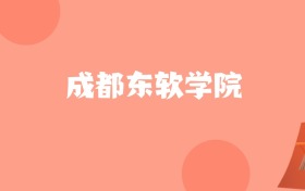山东高考多少分能上成都东软学院？附2023-2025年最低录取分数线