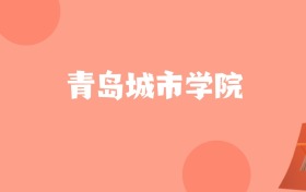 新疆高考多少分能上青岛城市学院？附2022-2024年最低录取分数线