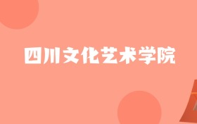 新疆高考多少分能上四川文化艺术学院？附2022-2024年最低录取分数线