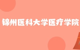 新疆高考多少分能上锦州医科大学医疗学院？附2022-2024年最低录取分数线