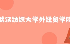 新疆高考多少分能上武汉纺织大学外经贸学院？附2022-2024年最低录取分数线