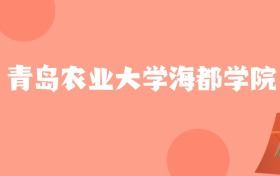 北京高考多少分能上青岛农业大学海都学院？附2022-2024年最低录取分数线