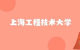 新疆高考多少分能上上海工程技术大学？附2022-2024年最低录取分数线