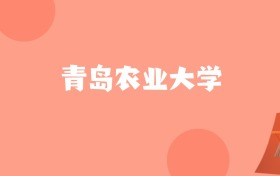 新疆高考多少分能上青岛农业大学？附2022-2024年最低录取分数线