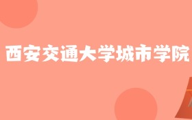 新疆高考多少分能上西安交通大学城市学院？附2022-2024年最低录取分数线