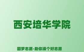 张雪峰谈西安培华学院：和公办本科的差距对比、热门专业推荐