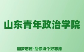 张雪峰谈山东青年政治学院：和211的差距对比、热门专业推荐