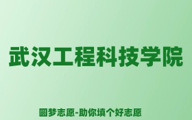 张雪峰谈武汉工程科技学院：和公办本科的差距对比、热门专业推荐