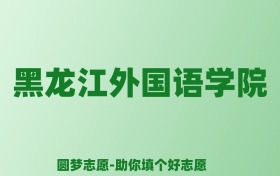 张雪峰谈黑龙江外国语学院：和公办本科的差距对比、热门专业推荐