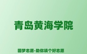 张雪峰谈青岛黄海学院：和公办本科的差距对比、热门专业推荐