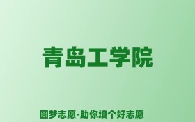 张雪峰谈青岛工学院：和公办本科的差距对比、热门专业推荐