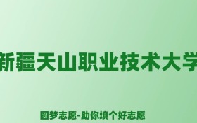 张雪峰谈新疆天山职业技术大学：和公办本科的差距对比、热门专业推荐